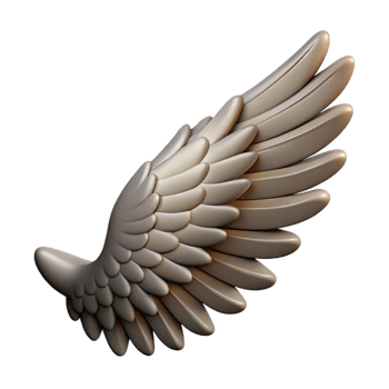 beautiful rustic Griffin's Wing, single feathered wing, high resolution png