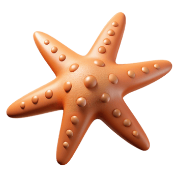wonderful modern A starfish with five arms professional png