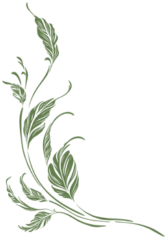 leaf branches corner design decorative ornament isolated on a transparent background png