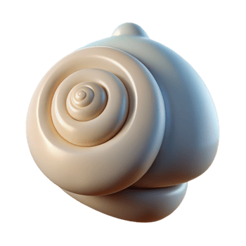 extraordinary modern Single seashell, spiral shaped exclusive png