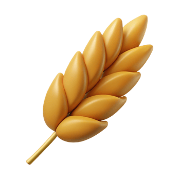 serene classic Single grain of wheat high quality png