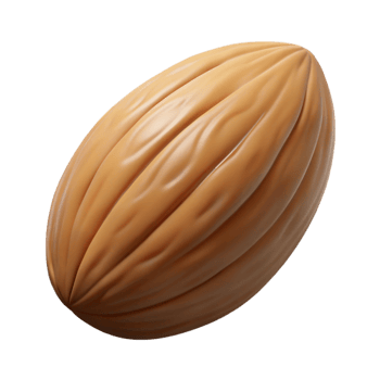 magnificent minimalist Close up of a single almond 4K png