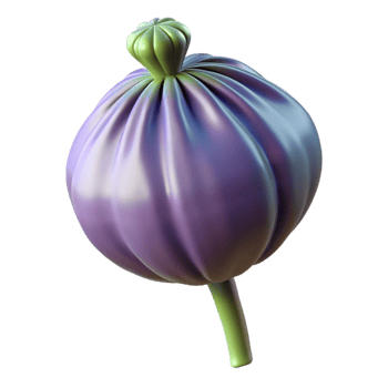 elegant minimalist Poppy seed pod detailed png