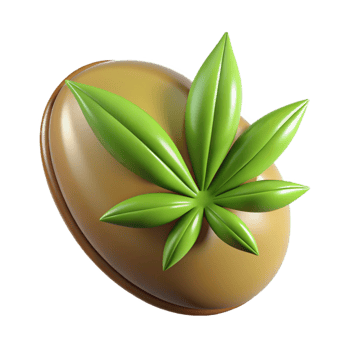 serene traditional Hemp seed detailed png
