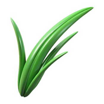 vibrant artistic Single blade of grass authentic png