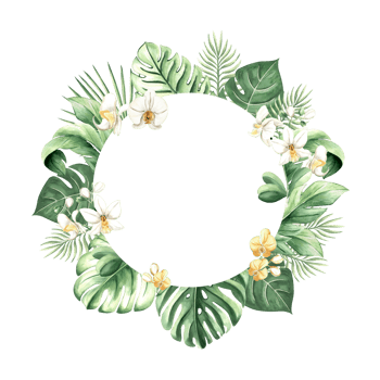 Watercolor tropical leaves and white orchid flowers isolated illustration of round frame. Floral wreath for summer rainforest designs. Hand drawn clipart of monstera, phalaenopsis and jungle plants. png