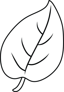 Simple monochrome line art of a plant branch consisting of three detailed leaves, creating an elegant, minimal illustration style suitable for decoration, logo design, or illustrative projects png