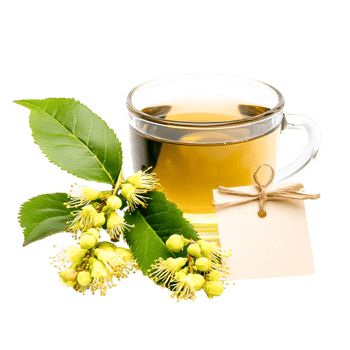 Herbal Tea with Fresh Leaves and Flowers in Clear Glass Cup png