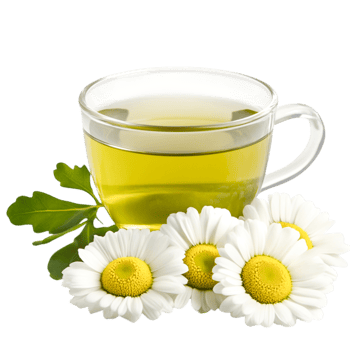 Calm Herbal Tea in Transparent Cup Surrounded by Fresh White Flowers png