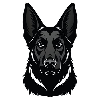 German Shepherd dog Front view of head silhouette illustration White Background vector