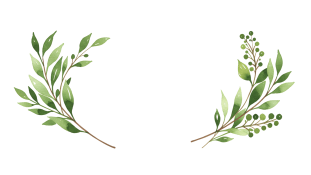 Two wreaths with leaves and branches png