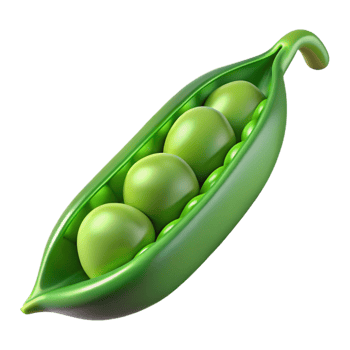 serene contemporary Green pea pod open exclusive png