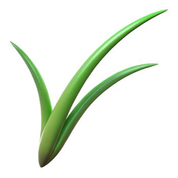 wonderful artistic Single blade of grass high quality png