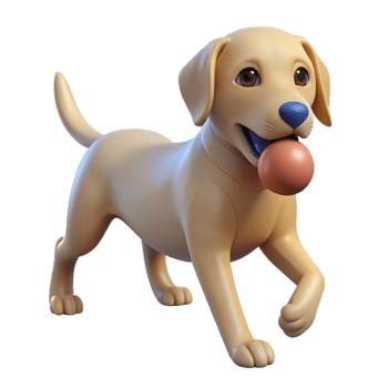 extraordinary traditional Labrador retriever, retrieving a ball ball not visible , high resolution png