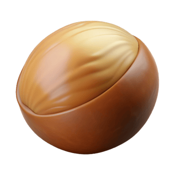 serene rustic Macadamia nut whole exclusive png