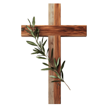 A wooden cross with an olive branch isolated on transparent background png