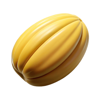 magnificent artistic Sunflower seed premium png