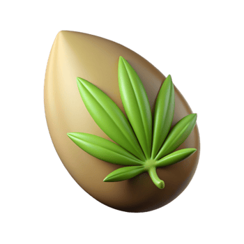 dramatic creative Hemp seed premium png