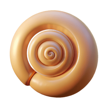 dramatic classic Single seashell, spiral shaped high quality png