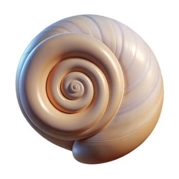 stunning traditional Single seashell, spiral shaped high resolution png