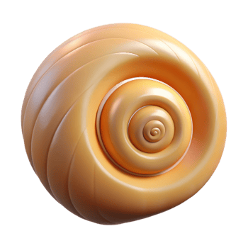 stunning contemporary Single seashell, spiral shaped detailed png