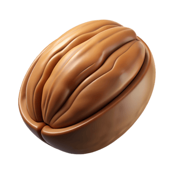 magnificent minimalist Pecan in shell 4K png