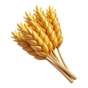 extraordinary creative Bundle of wheat stalks premium png