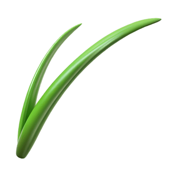 beautiful modern Single blade of grass exclusive png