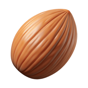 dramatic modern Raw almond nut exclusive png