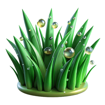 elegant minimalist Green Grass Blades Dew Drops Transparent Background png
