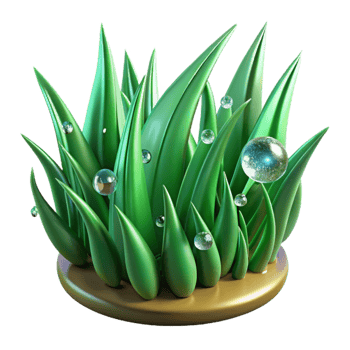 vibrant classic Green Grass Blades with Dew Drops Transparent Background exclusive png