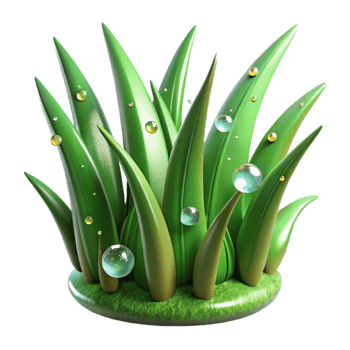elegant minimalist Green Grass Blades with Dew Drops Transparent Background exclusive png