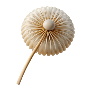 impressive minimalist Single dandelion seedhead professional png