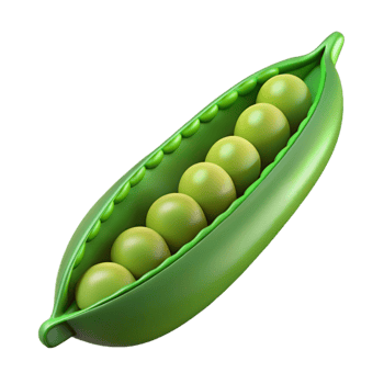 elegant creative Single green pea pod, open with peas visible premium png