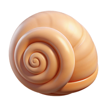 serene classic Single seashell, spiral shaped exclusive png