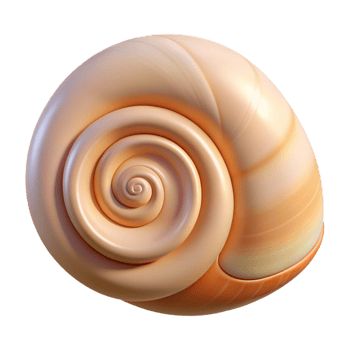 impressive minimalist Single seashell, spiral shaped genuine png