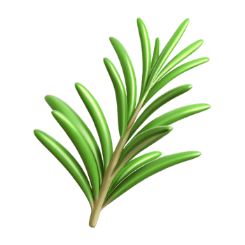 serene vintage One sprig of rosemary exclusive png