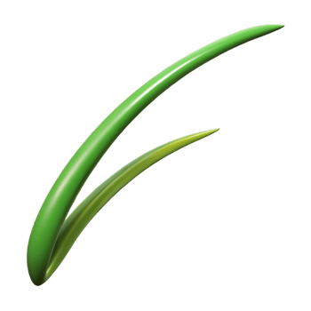 elegant modern Single blade of grass professional png