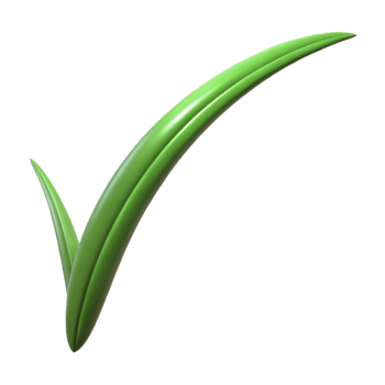 extraordinary minimalist Single blade of grass authentic png