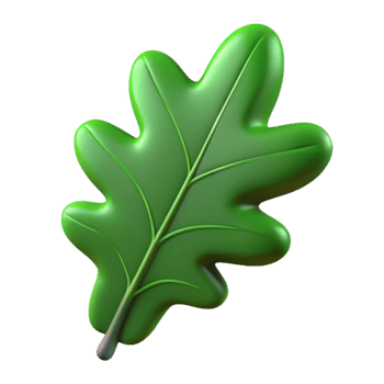 vibrant minimalist Single oak leaf, green high resolution png