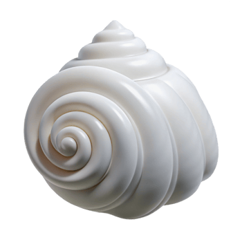 impressive minimalist A seashell, spiral, white, authentic png