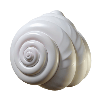 vibrant rustic A seashell, spiral, white, 4K png