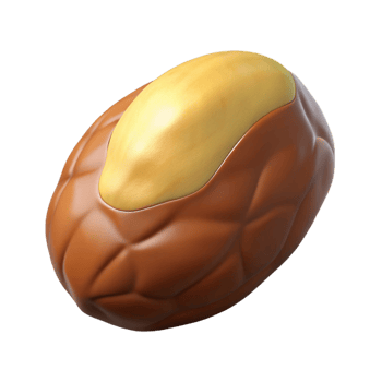 stunning minimalist Brazil nut high quality png