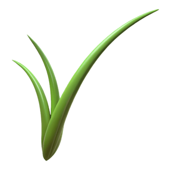 impressive abstract Single blade of grass original png