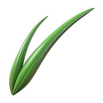 dramatic modern Single blade of grass high resolution png