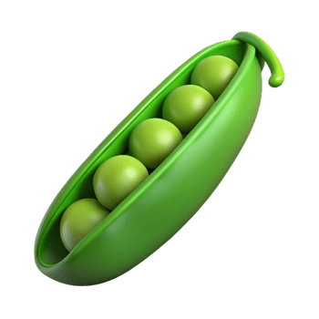 extraordinary minimalist Single green pea pod, open detailed png