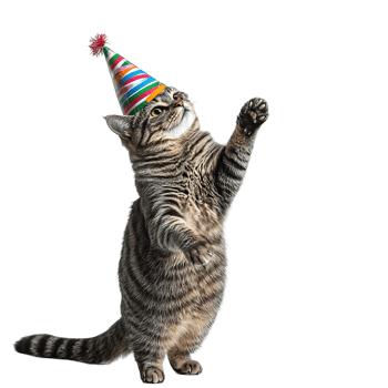 A striped cat celebrating with a colorful party hat on head png