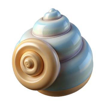 elegant minimalist A seashell, spiral and textured, detailed png
