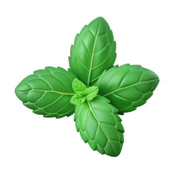 beautiful creative Fresh green sprig of mint detailed png