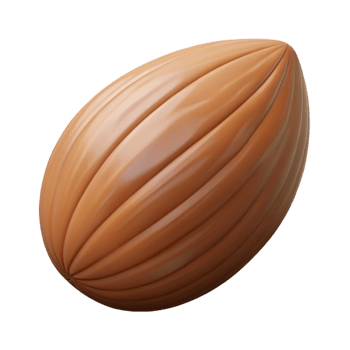 stunning rustic Single almond nut in shell original png